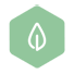 Color Verde Biobag